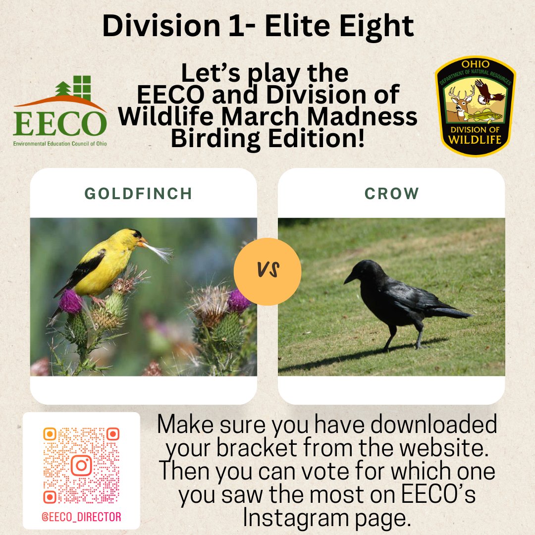 directorEECO's tweet image. Look who made it to the ELITE EIGHT Vote for who will make it to the FINAL FOUR! Play along and let us know which bird you saw more by voting on our Instagram page. 
Our March Madness Bird Brackets: eeco.wildapricot.org/page-1786411

#getoutside #marchmadnessbirdbracket #BirdingFun
