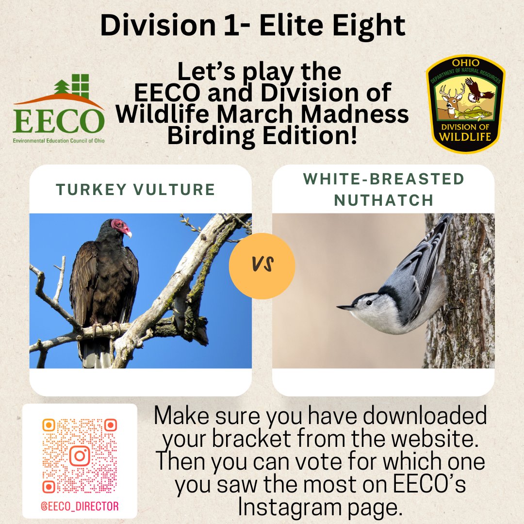 directorEECO's tweet image. Look who made it to the ELITE EIGHT Vote for who will make it to the FINAL FOUR! Play along and let us know which bird you saw more by voting on our Instagram page. 
Our March Madness Bird Brackets: eeco.wildapricot.org/page-1786411

#getoutside #marchmadnessbirdbracket #BirdingFun