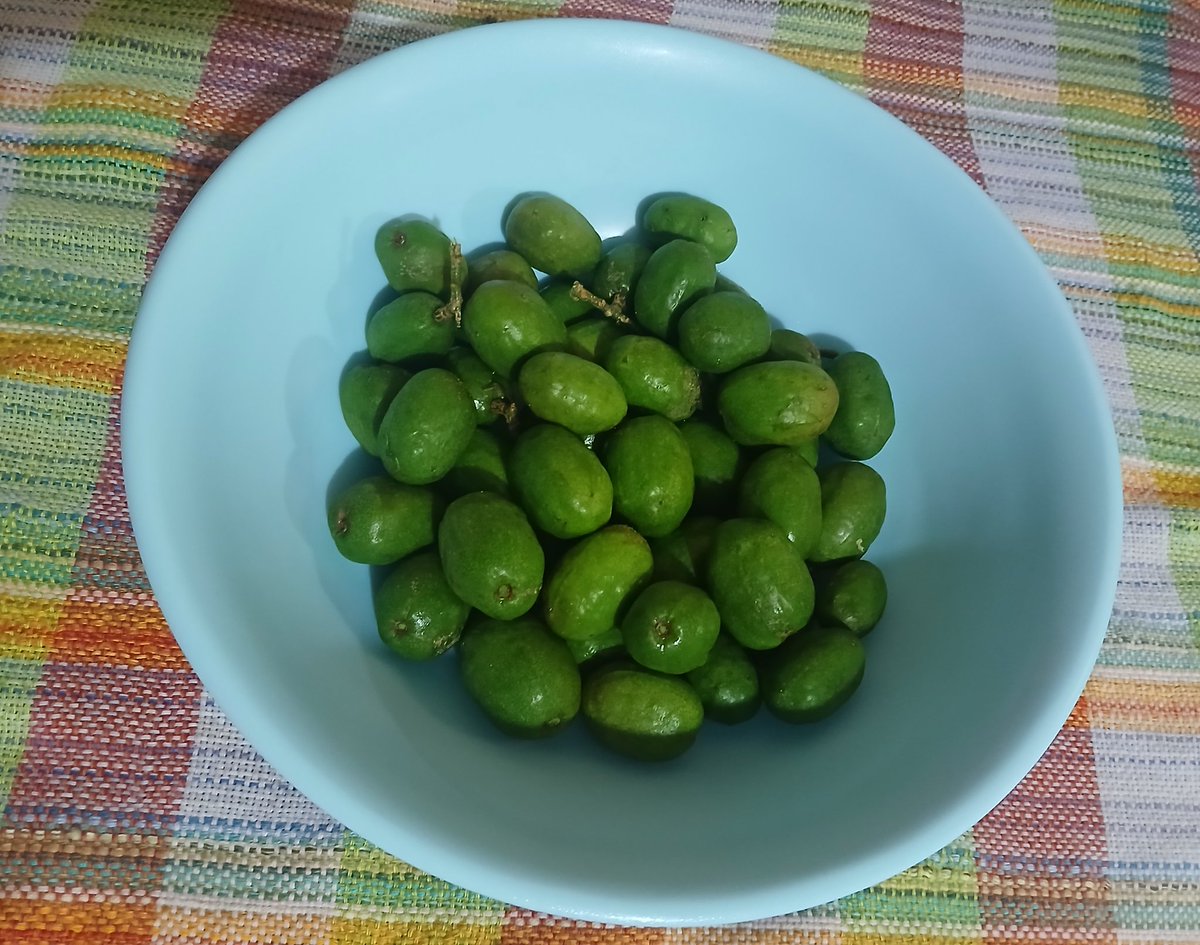 Akasha_Deargdue's tweet photo. Recién cortados del árbol, no podía quedarme con el deseo de comerlos con sal, jajaja 😋❤️ amo los jocotes de esta temporada 👌 #jocotes #jocotesverdes #ElSalvador #elsalvador503 #jocotesdeverano https://t.co/RoiJZyu0sI