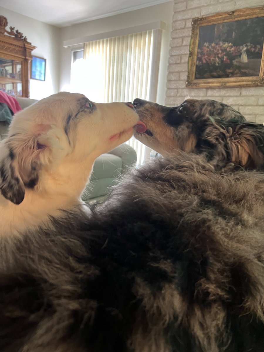 Puppy love!