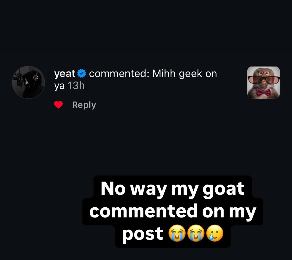 Monkey Posting (@monkeyposting_) / Posts / X