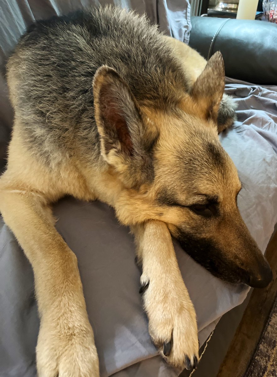 Hey y’all, don’t really have a stream in me today, but I’ll be back on Tuesday. Have a wonderful time zone wherever you are!