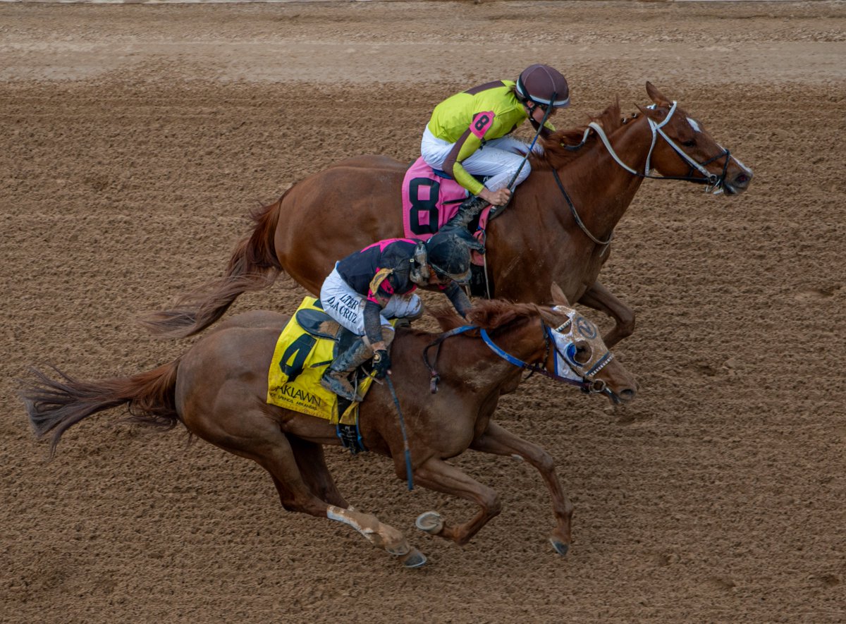 Robert Yates (@robertyates1982) on Twitter photo HOF trainer Steve Asmussen scores the Sunday triple at Oaklawn with Seraphia (inside), a 3 y/o Gun Runner filly, in the nightcap ($110,000 MSW route). Erik Asmussen for several owners, including <a href="/jackpotfarm/">Jackpot Farm</a>. HOF trainer Steve Asmussen scores the Sunday triple at Oaklawn with Seraphia (inside), a 3 y/o Gun Runner filly, in the nightcap ($110,000 MSW route). Erik Asmussen for several owners, including <a href="/jackpotfarm/">Jackpot Farm</a>.