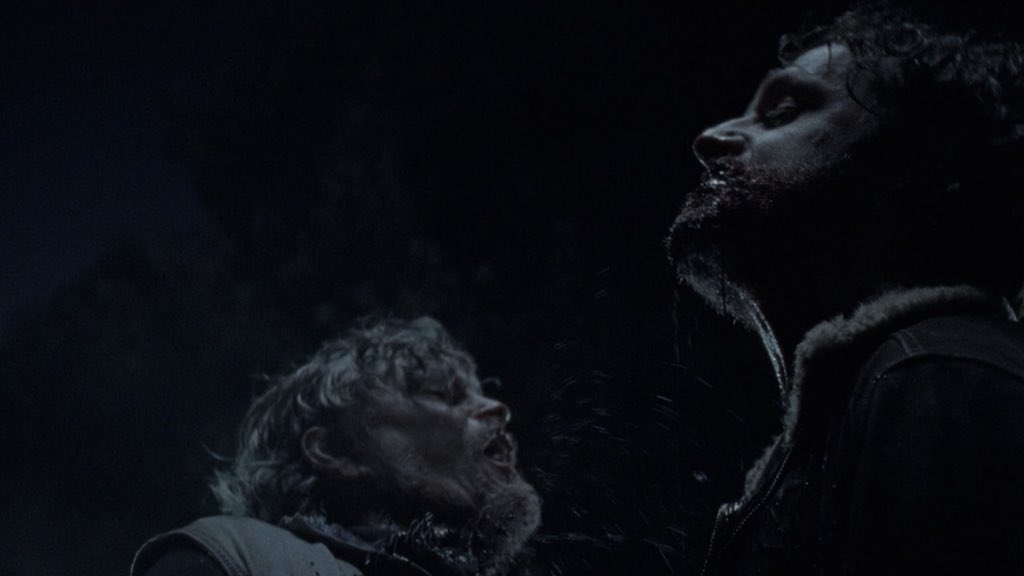 TWD Universe tweet media