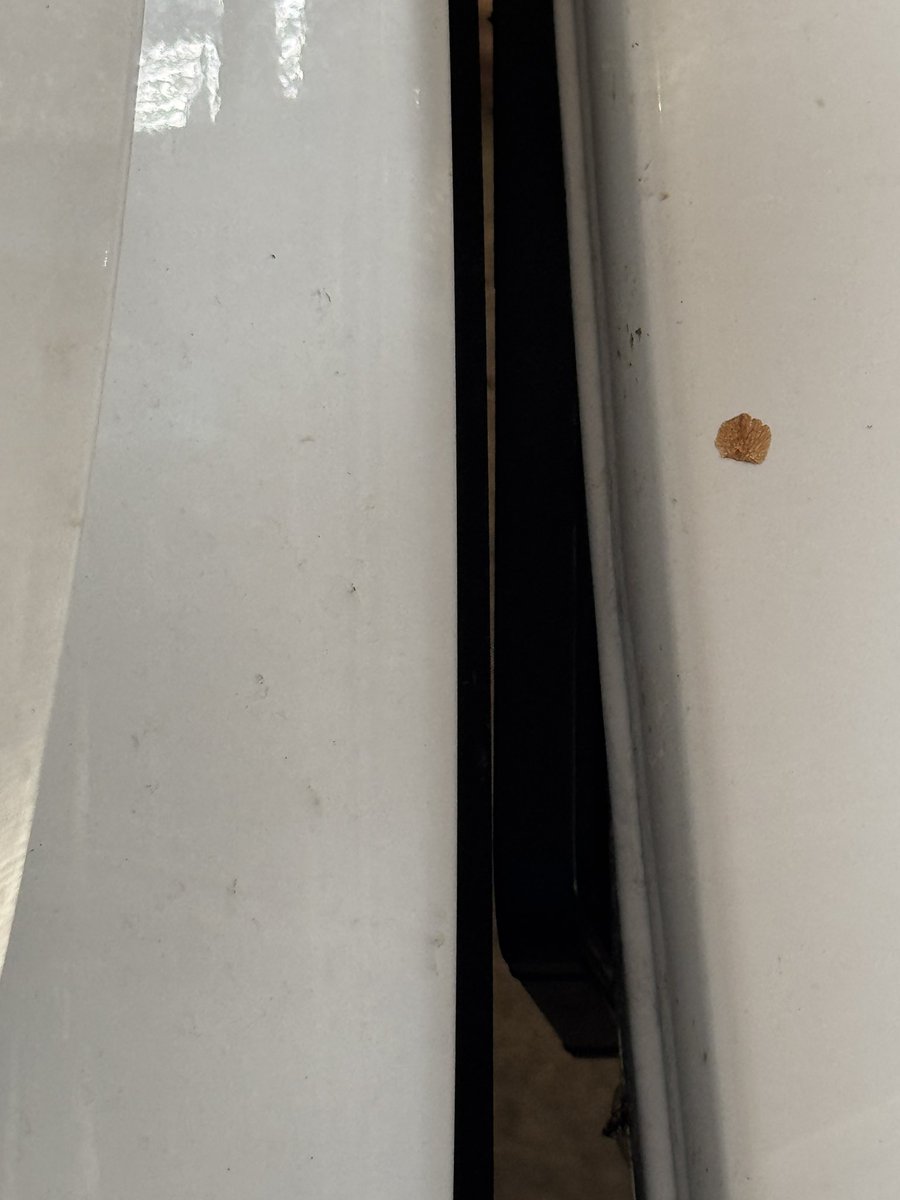 PRyanC579's tweet photo. I backed the vehicles into the carport and pulled my truck in as far as could to get as much protection from the looming storms. I don’t think I could get any closer… https://t.co/SWzlDiq1Yx