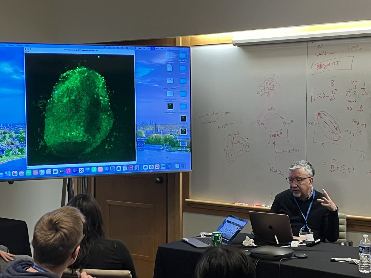 Roberto Mayor <a href="/mayor_lab/">Roberto Mayor Lab</a> sharing the results of his neural crest experiment at the <a href="/cshlxeno/">cshlxeno</a> course. <a href="/WalentekLab/">Peter Walentek</a> <a href="/CSHL/">Cold Spring Harbor Laboratory</a>