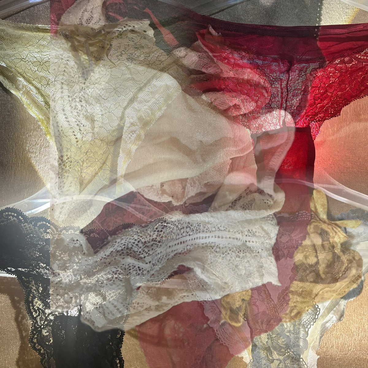 香菜不香 tweet media