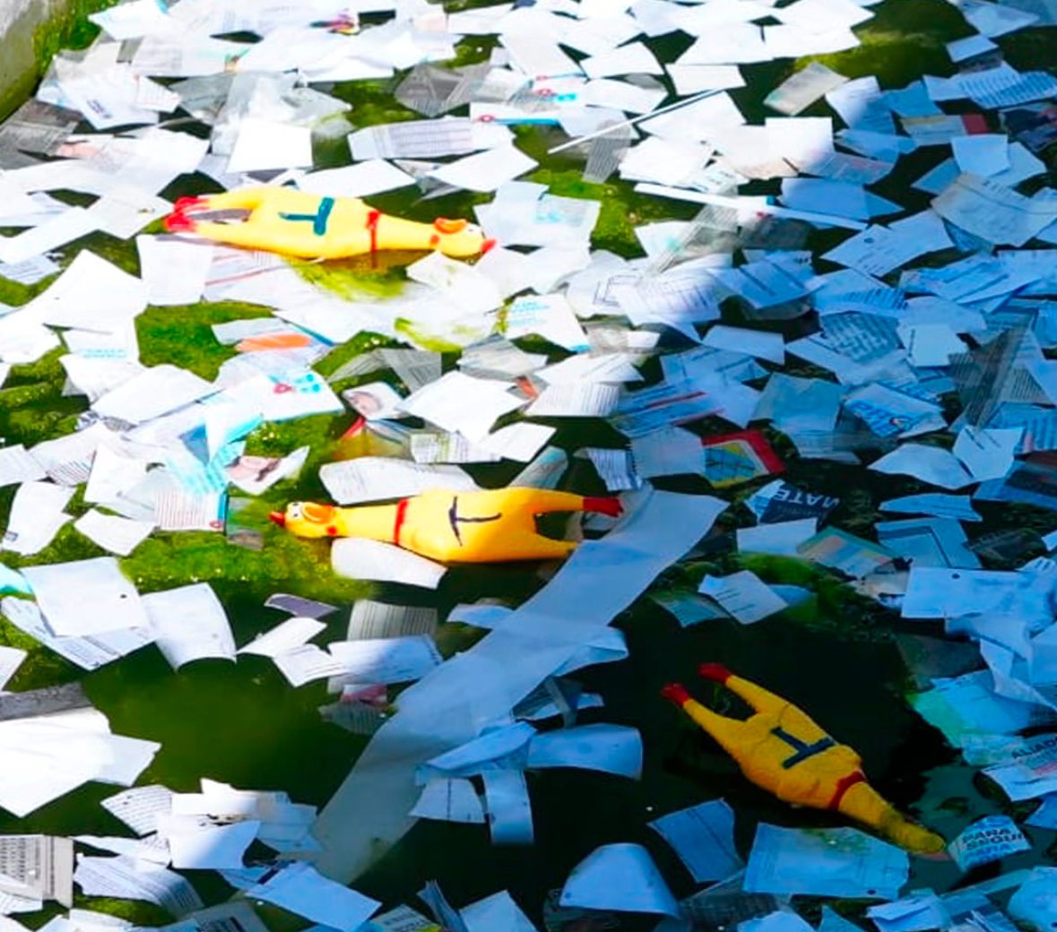 🏴☠️TRAPOS CAB tweet media