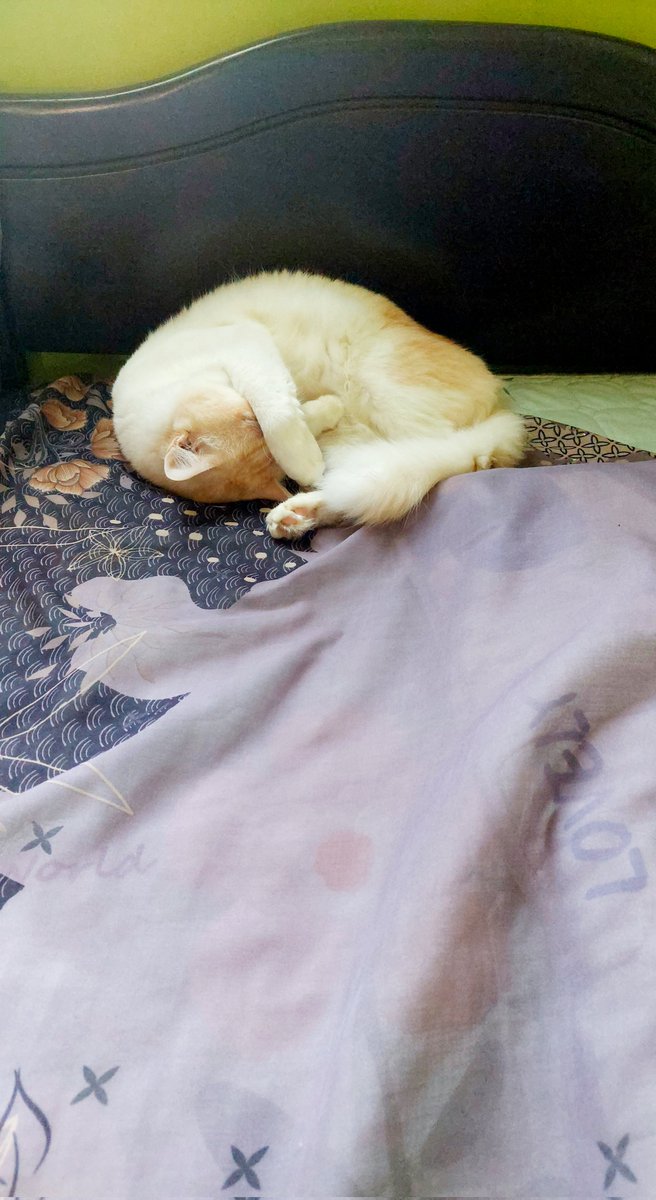Ya hari ni saya terlupa awak wujud. Saya salah. Saya salah sebab letak tudung kat favorite spot awak. Tidur la dulu 🥲