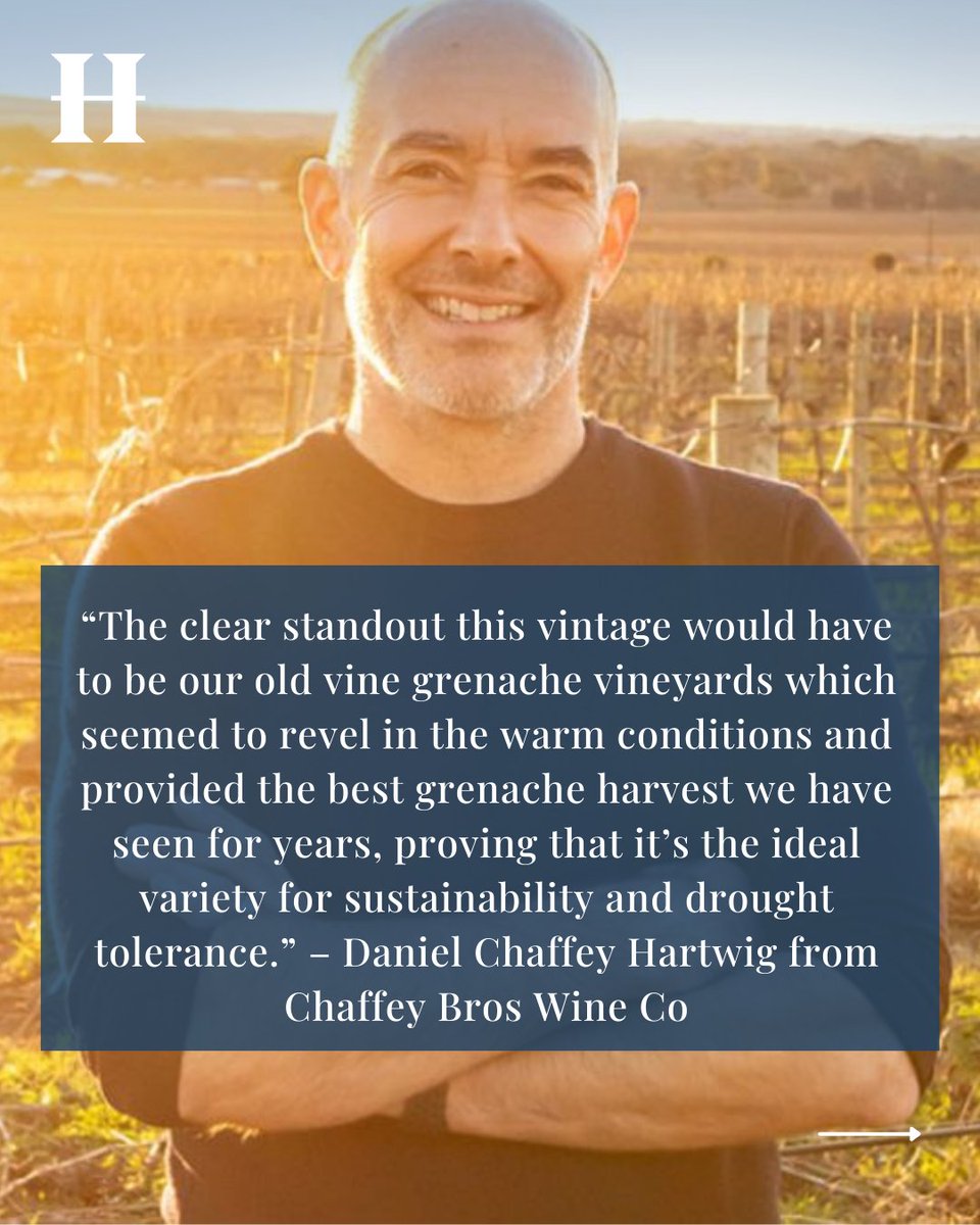 Wine Companion (@winecompanion) on Twitter photo In the lead up to the 2025 harvest, the Barossa weathered frost and drought, on top of ongoing economic and oversupply hardships. <a href="/katie_spain/">Katie Spain</a> checks in on producers in the region.
winecompanion.com.au/articles/news/⦠In the lead up to the 2025 harvest, the Barossa weathered frost and drought, on top of ongoing economic and oversupply hardships. <a href="/katie_spain/">Katie Spain</a> checks in on producers in the region.
winecompanion.com.au/articles/news/ā¦