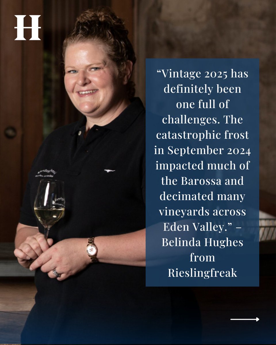Wine Companion tweet media
