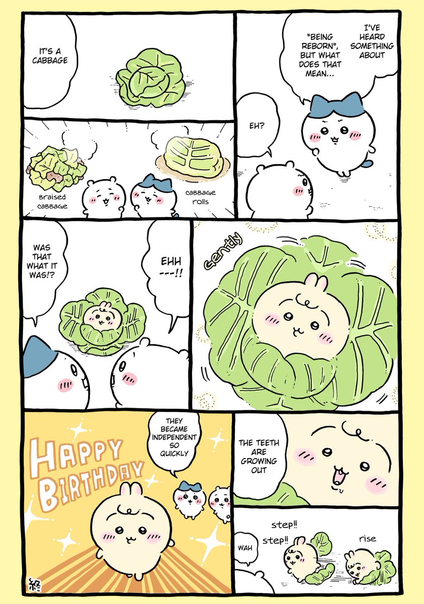 Cabbage patch baby Usagi! #chiikawa #chiikawaeng
