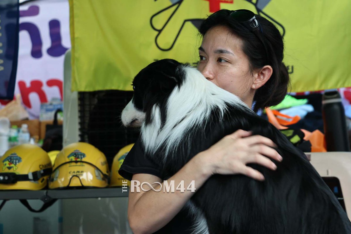 น้อง K9 ให้คุณหมอ ล้างตา พันขา แม้เศษแก้วจะทำผมเจ็บ แต่ใจก็เกินร้อย พร้อมค้นหาผู้รอดชีวิตตึกถล่มต่อครับ

#สตง #ตึกสตง #แผ่นดินไหวประเทศไทย #แผ่นดินไหว #ข่าว #ข่าววันนี้ #ตึกถล่ม  #น้องK9 #สุนัขตำรวจ #K9 #Theroom44