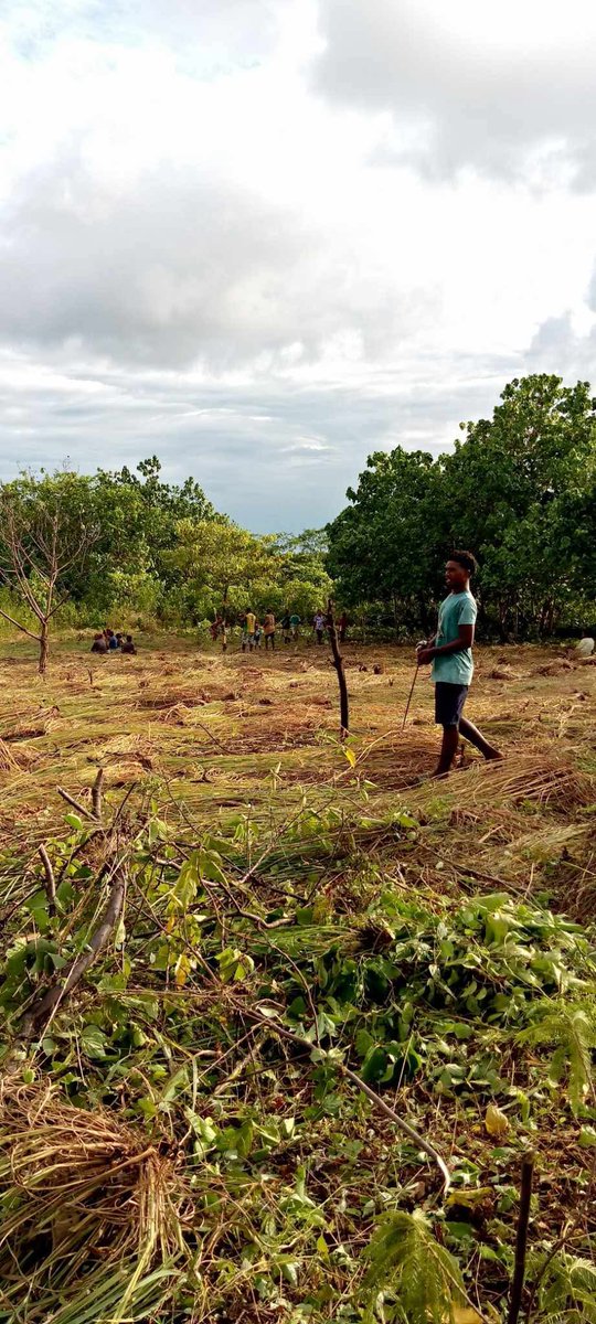 MavePSeda's tweet photo. Great to see the Kakara Youths making progress after receiving grant support from the Malaita Provincial Youth Council! Huge thanks to the Australian Government for backing youth initiatives. #YouthEmpowerment #Malaita https://t.co/b7Qw67bfry
