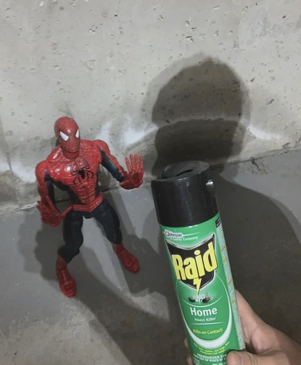 insane poses (@insaneposes) on Twitter photo 