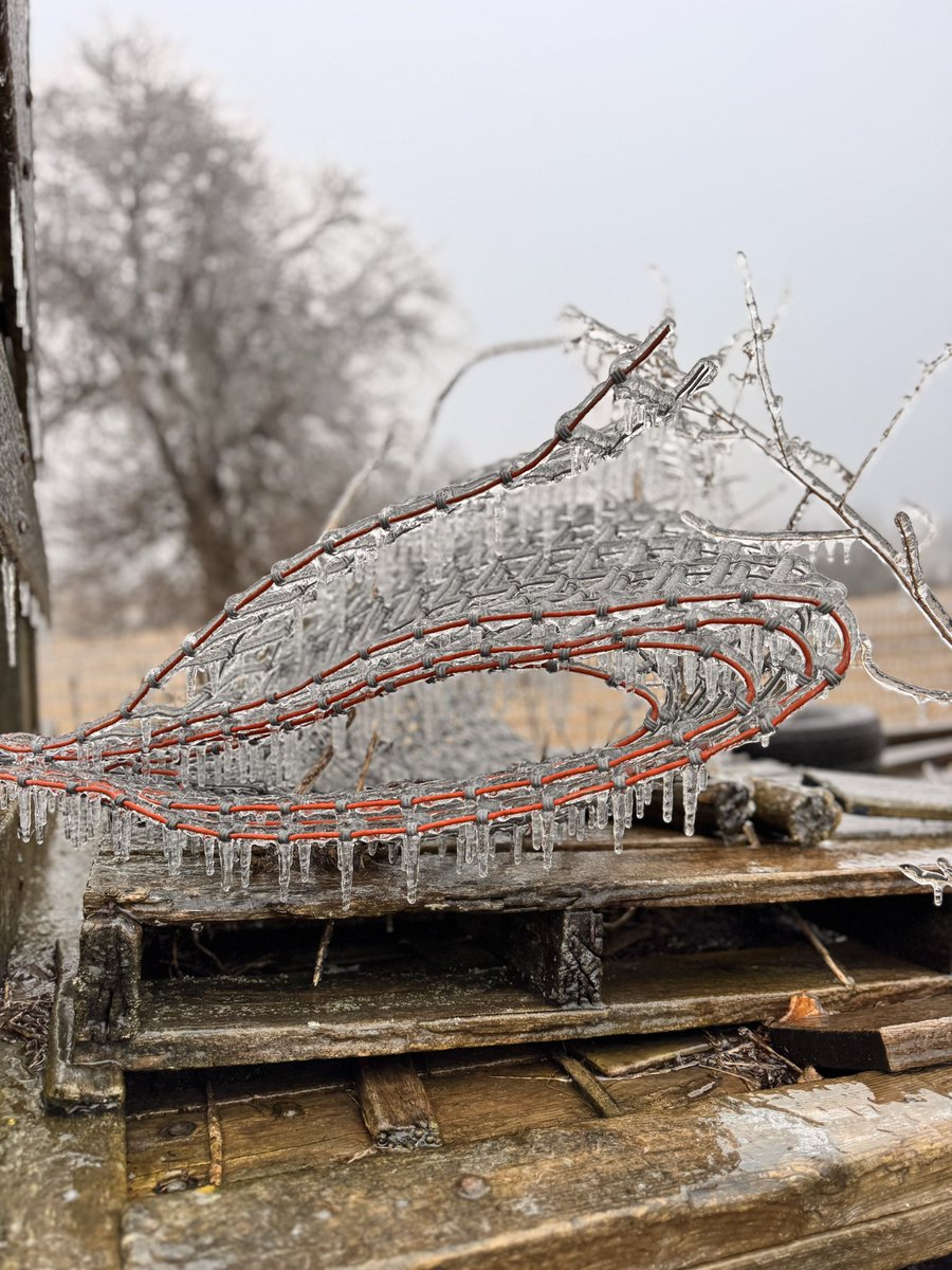artcapturephoto's tweet image. Making it work. #ONStorm #canadaspring