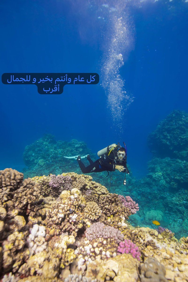yuosuf21's tweet photo. اختاروا أن تعيدوا بجانب الجمال فأينما كنتم فثمّ جمال صنعه الله لكم … كل عام وأنتم بخير 🌹❤️ #عيد_الفطر_المبارك_1446 #عيد_الفطر_المبارك https://t.co/WpAHjMbyJi