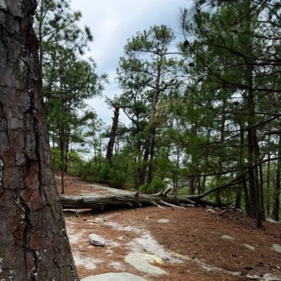 _GlobalExplorer's tweet image. #NewProfilePic