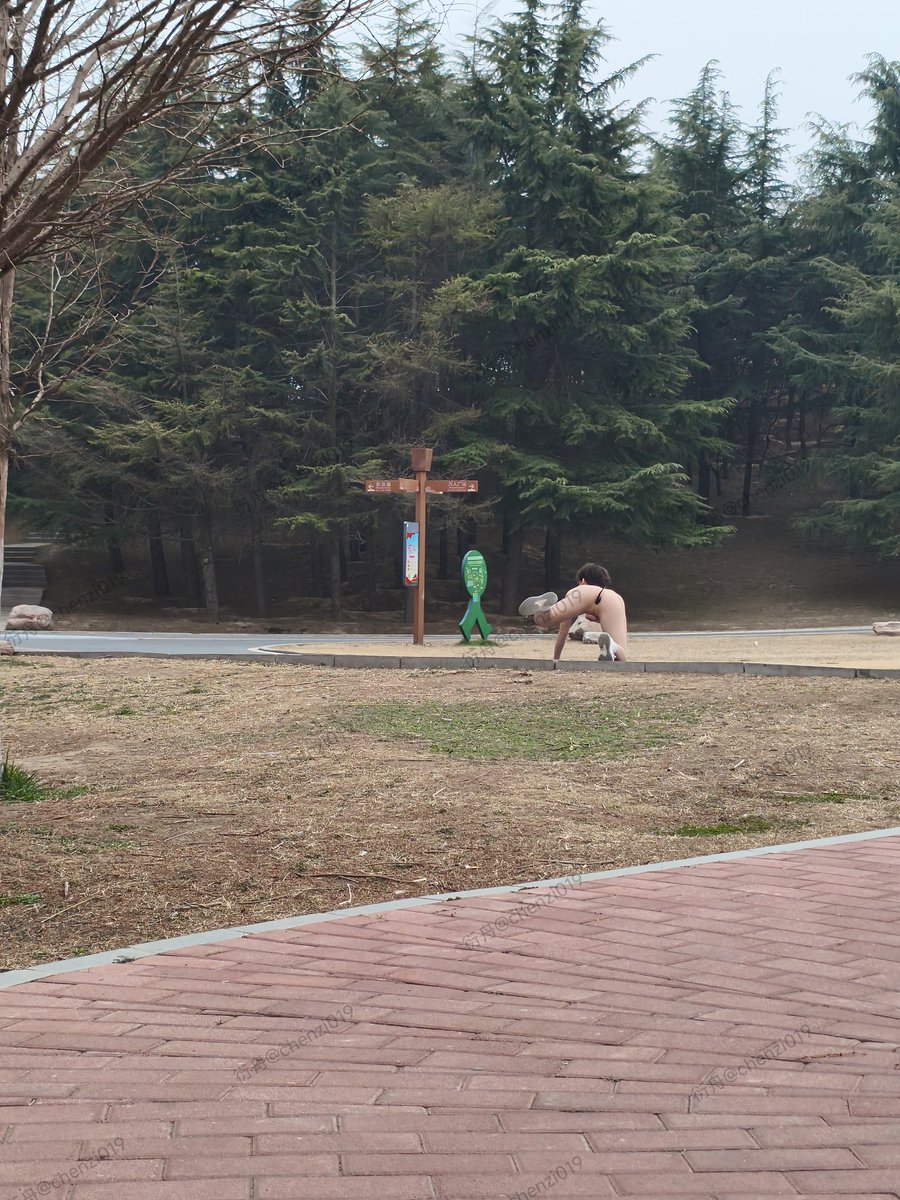 不知道发什么，就发个库存吧😘公园戴锁狗姿暴露撒尿，尾巴一摇一摇的 #暴露 #狗姿 #锁s #伪s