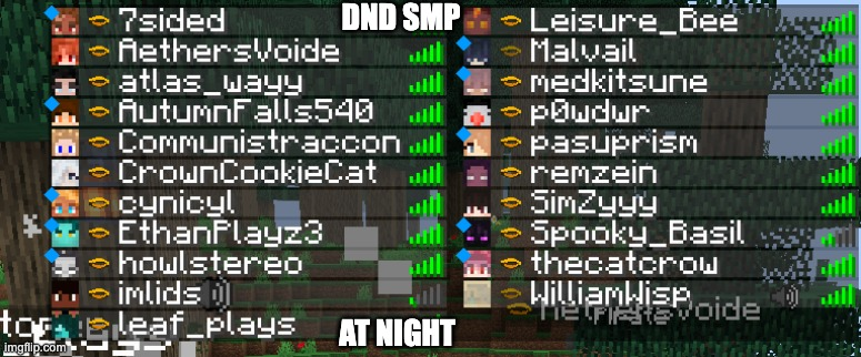 AutumnFall39496's tweet photo. #dndsmp https://t.co/7HqEMxz1Hl