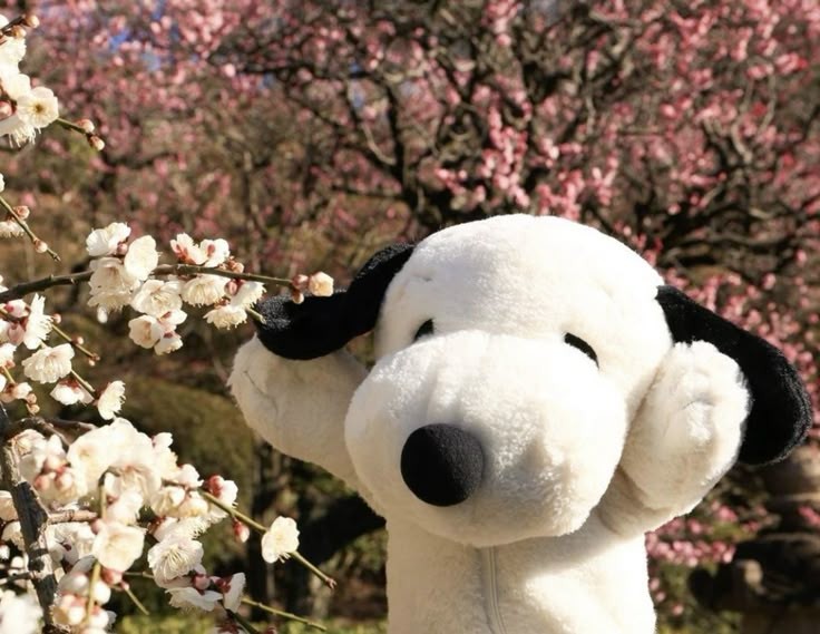 Snoopy 💕