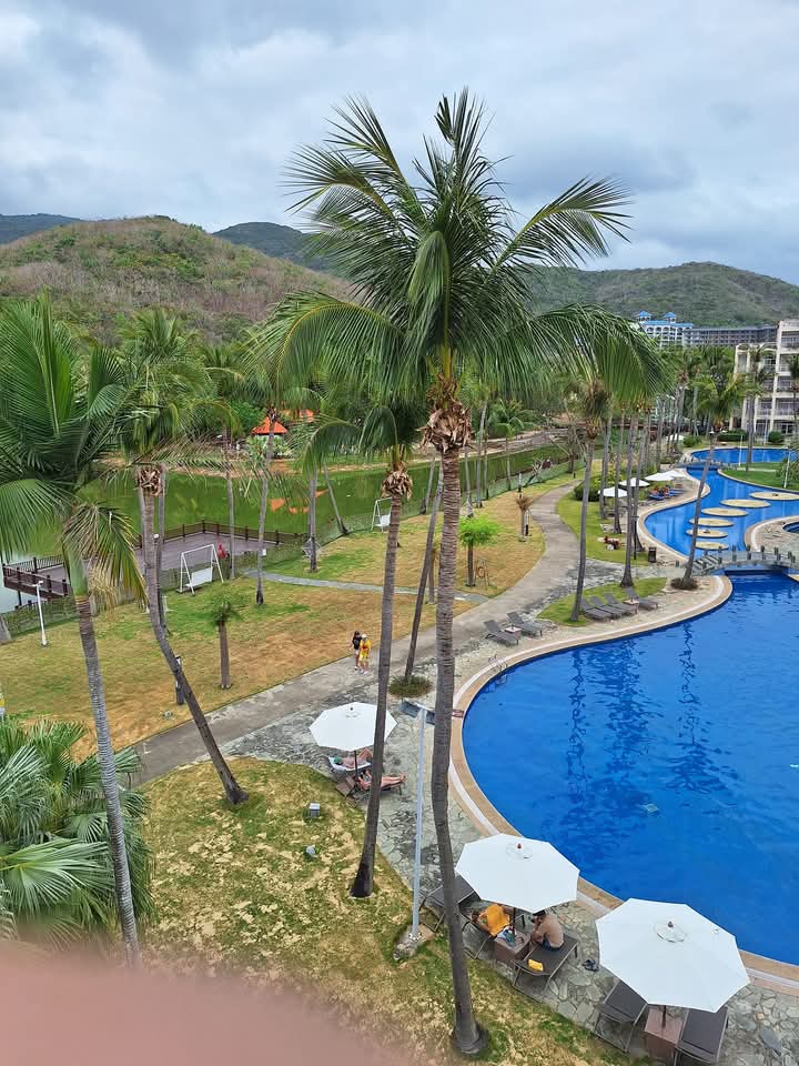 БНХАУ ын Хайнань арал дээр Монгол яшка нар Маш олон болжээ.