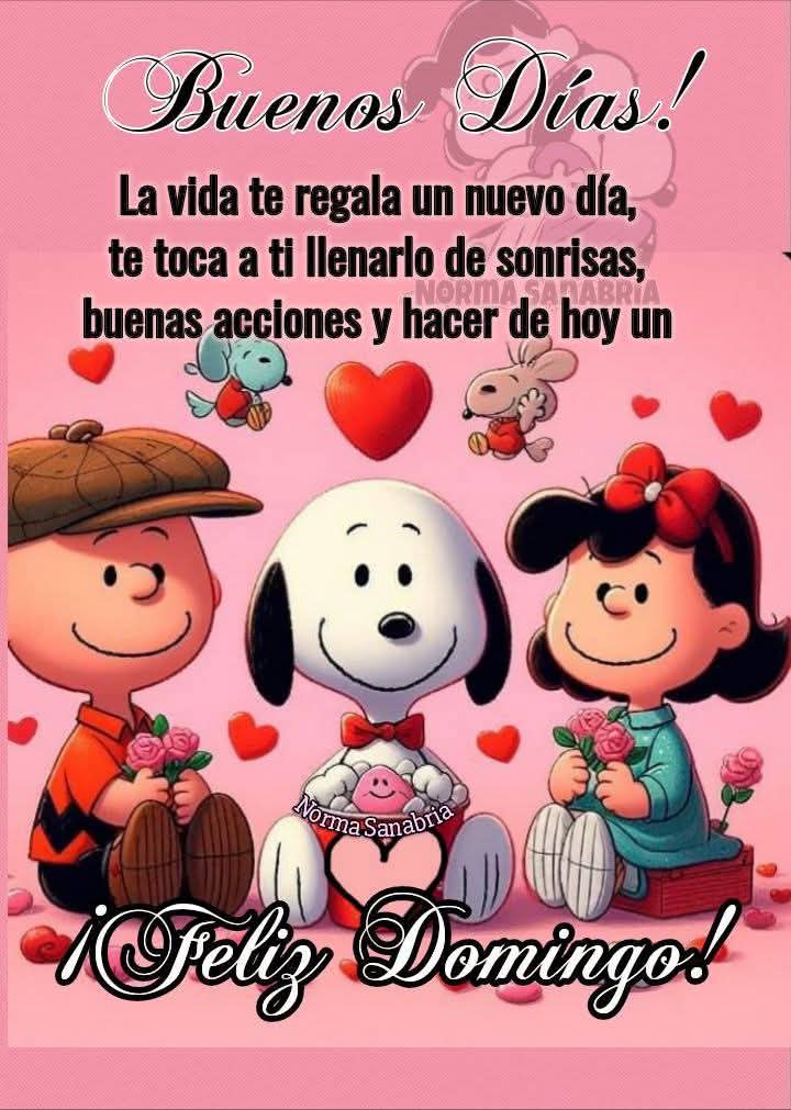 RaulOliva188132's tweet photo. @Jacinta_Camila #LosAMLO❤️💯 https://t.co/hXFKNW4tON