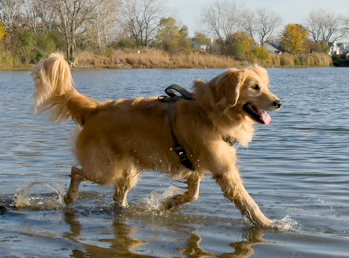 Spring cleaning 🌞