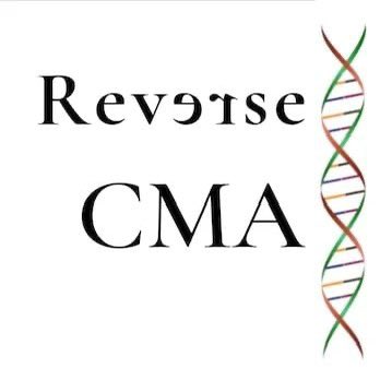 GeneralDNAInfo1's tweet photo. Learn about our latest patent-pending bioinformatic process for knocking down your DNA brick walls!

Reverse-CMA uses results of your CMA process to identify the ancestral line which connects a selected individual to your CMA family members…

https://t.co/9PSIdr5Dy5 https://t.co/cqQCm83Vj8