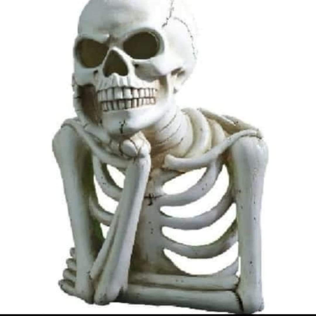 كاغلة العالم الآخر المنفصل عن الحقيقة 🇩🇿 بارك عيدكم حتى نتوما 
#الجزائر 🇩🇿 #تونس 🇹🇳 ليبيا 🇱🇾 #مصر 🇪🇬 #السعودية 🇸🇦 الإمارات 🇦🇪 #قطر  🇶🇦 #الأردن  🇯🇴  #فلسطين  🇵🇸 #المغرب  🇲🇦