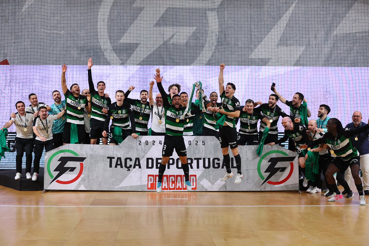 Bernardo Paçó tweet media