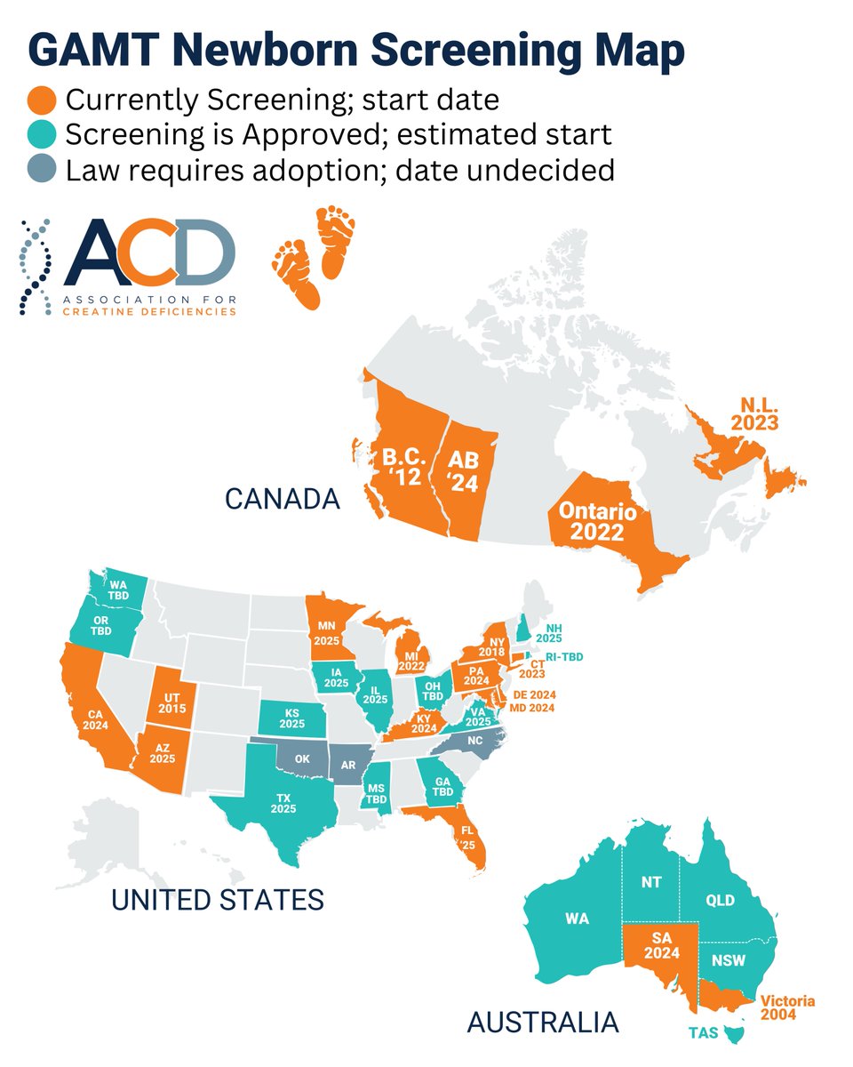 Creatine Info tweet media