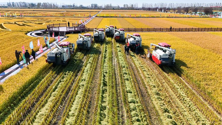 PDChina's tweet photo. China on Sunday announced a plan that aims to have 1.35 billion mu (90 million hectares) of high-standard farmland developed by 2030 and all eligible permanent basic farmland transformed into high-standard ones featuring sci-tech support and info tech-based farmland management by 2035. 
The country had developed over 1 billion mu of high-standard farmland and built irrigation networks stretching a total length of over 10 million kilometers by end-2024.