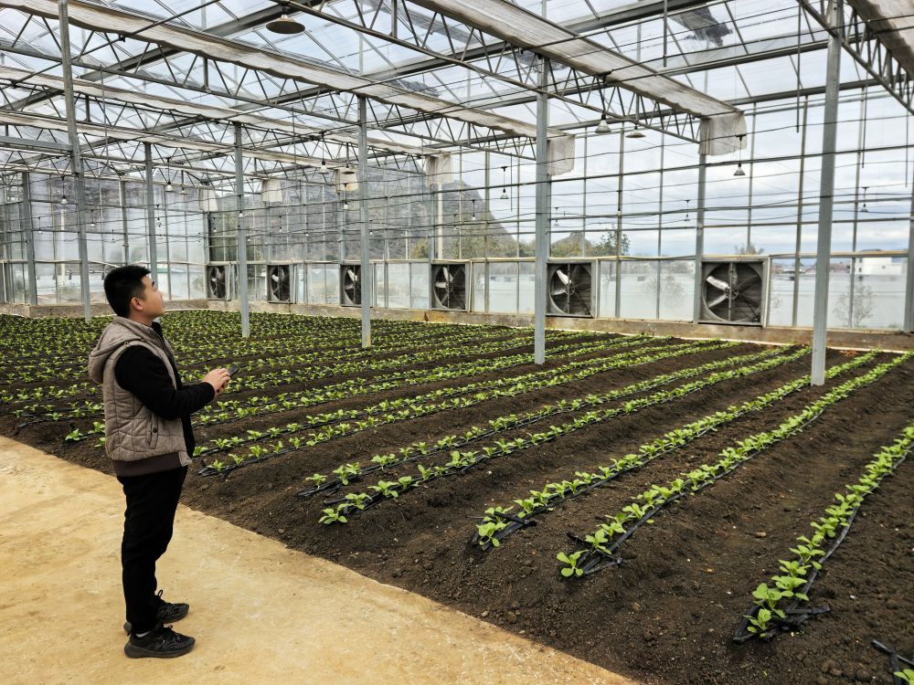 PDChina's tweet photo. China on Sunday announced a plan that aims to have 1.35 billion mu (90 million hectares) of high-standard farmland developed by 2030 and all eligible permanent basic farmland transformed into high-standard ones featuring sci-tech support and info tech-based farmland management by 2035. 
The country had developed over 1 billion mu of high-standard farmland and built irrigation networks stretching a total length of over 10 million kilometers by end-2024.