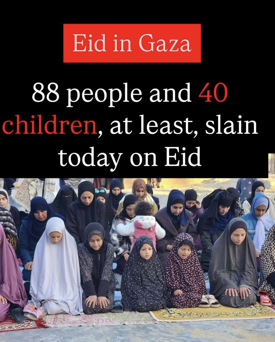 Faraz Yasir 🇵🇸 (@sheikhsphere3) on Twitter photo 