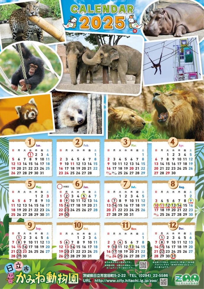 HitachiCity_Zoo's tweet image. 【4/1~開園時間変更・休園日のお知らせ】
☆開園時間
3‐10月 9時~16時30分(最終入園15時45分)
11‐2月 9時~16時00分(最終入園15時15分)
☆休園日 毎週月曜,12/31,1/1
※春休み・4月・5月・夏休みは休園日なし
※月曜日が祝日の場合は翌日が休園
カレンダーの赤丸日が休園日です #かみね動物園