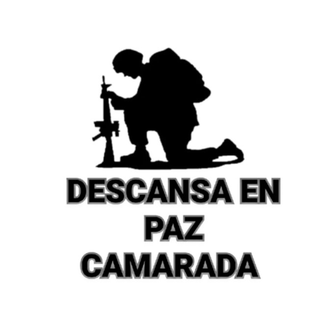 PuntaPeucoHoy tweet media