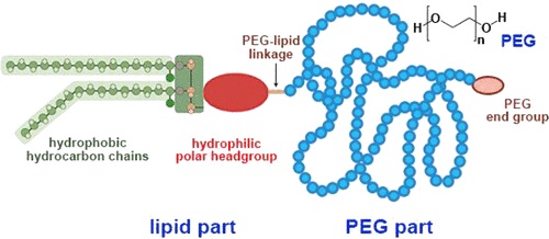 Biopharma PEG Scientific Inc. tweet media