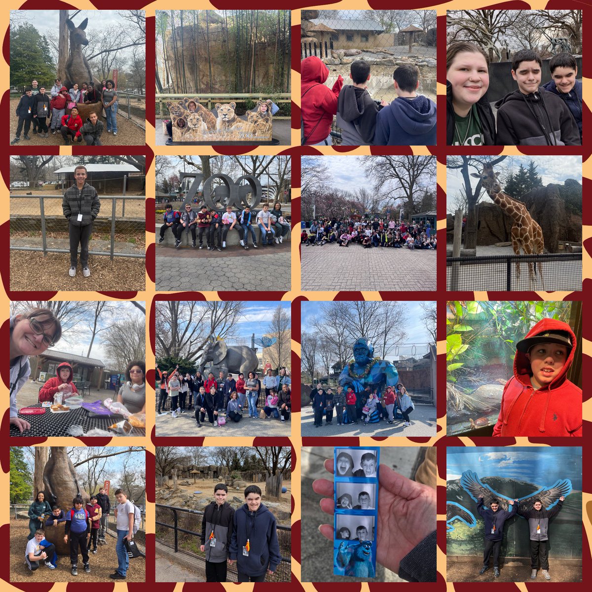 Ashley Walulak tweet media