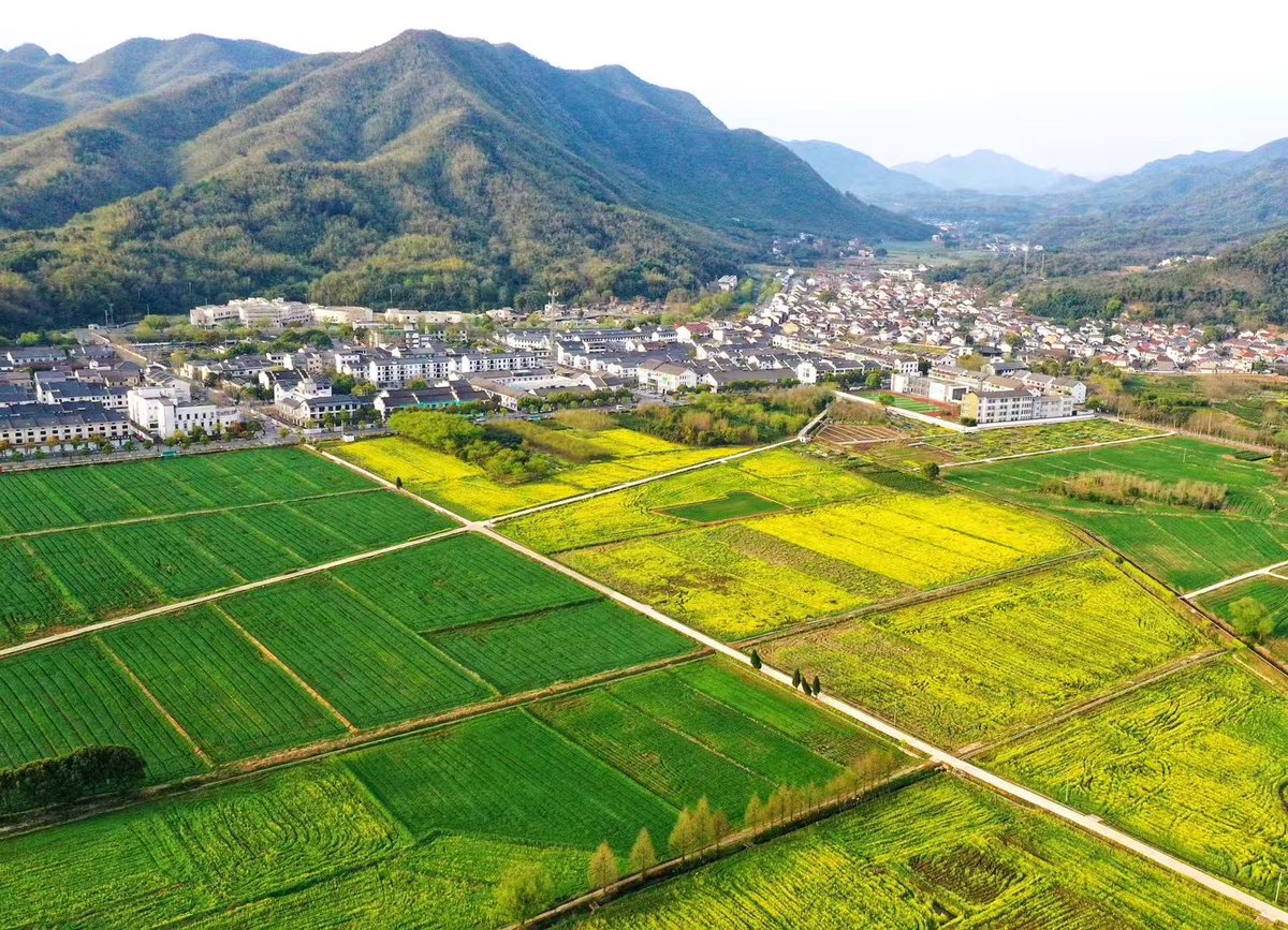 Zhangwu,China🇨🇳 tweet media