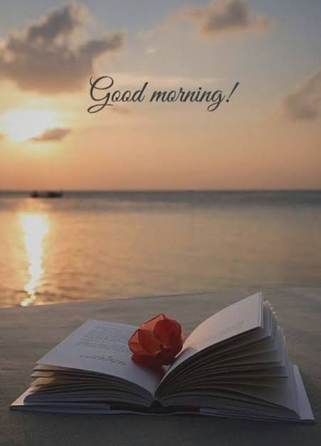 Its_Anu_Verma's tweet image. Happy Morning Everyone.
#Morningstarter