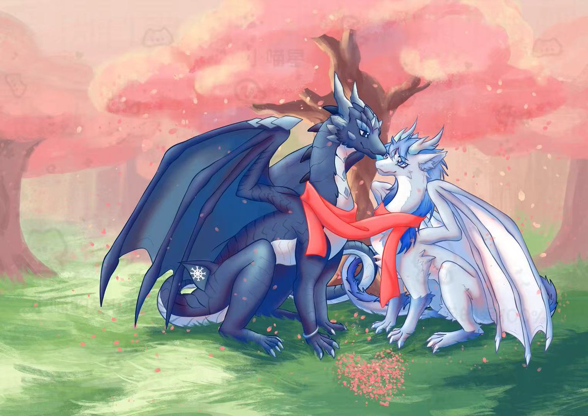 qiu-橚刀鱼 tweet media