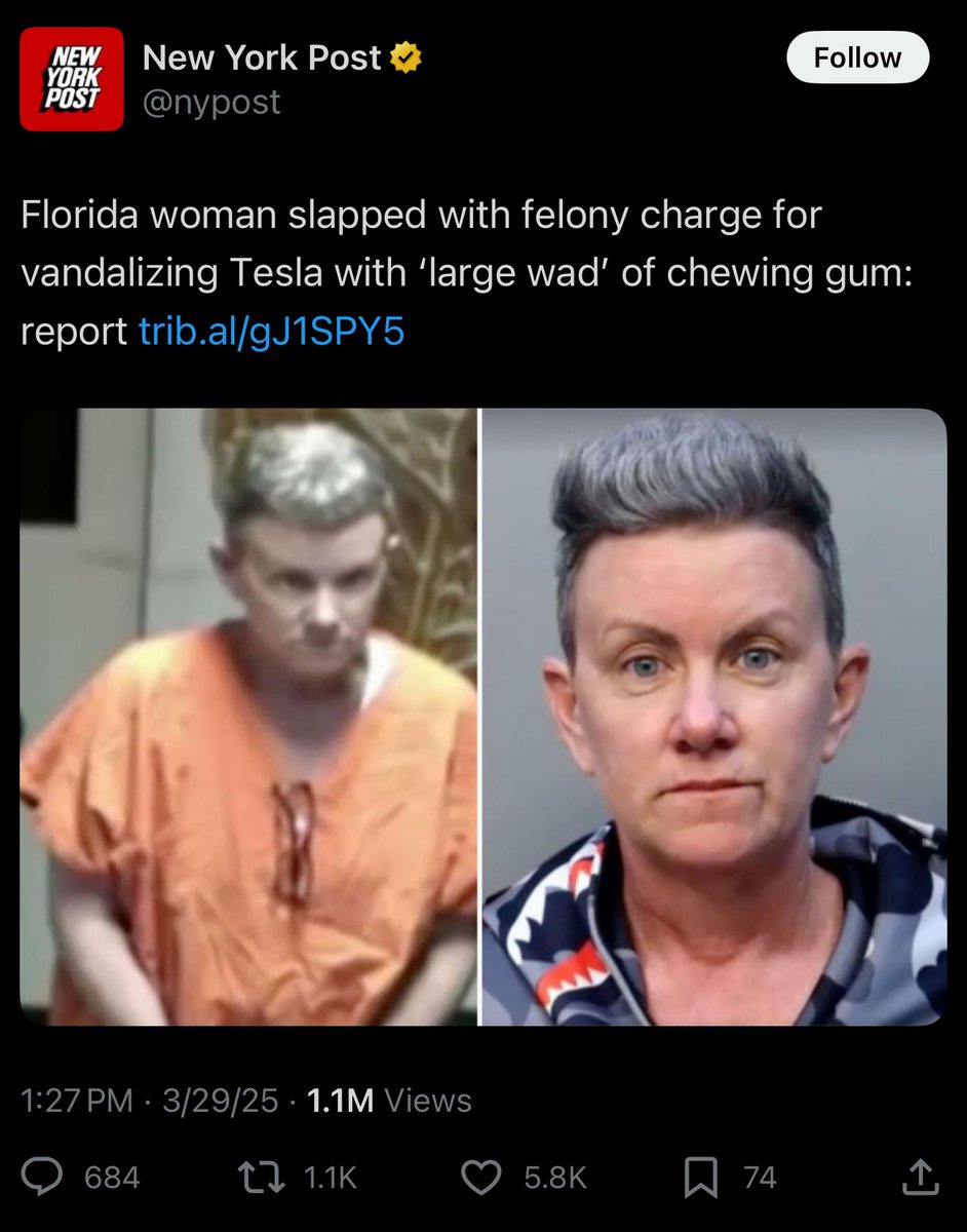 evan loves worf tweet media