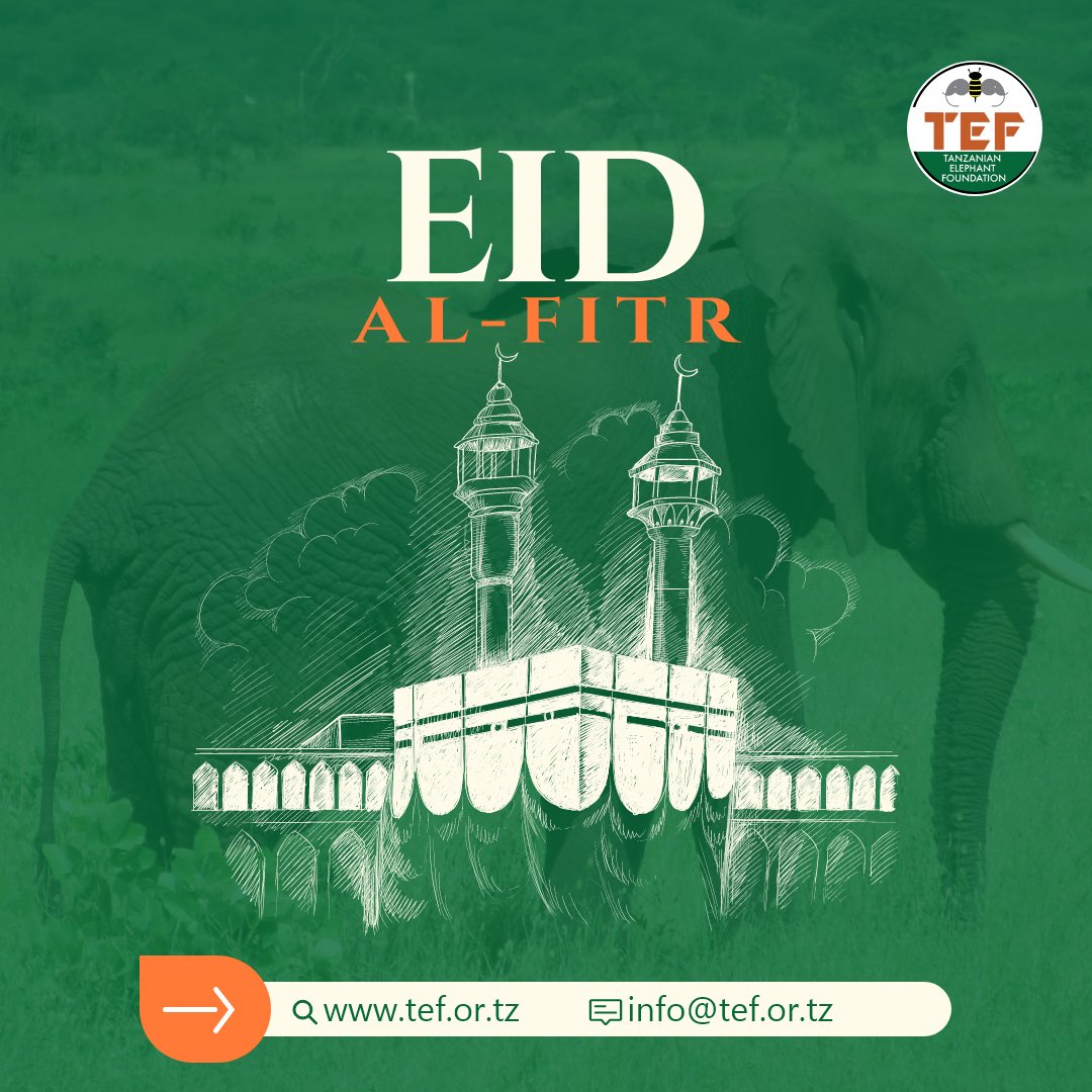 EID MUBARAK🌙✨
May this special day bring peace, happiness and prosperity to you all, From TEF team!🐘