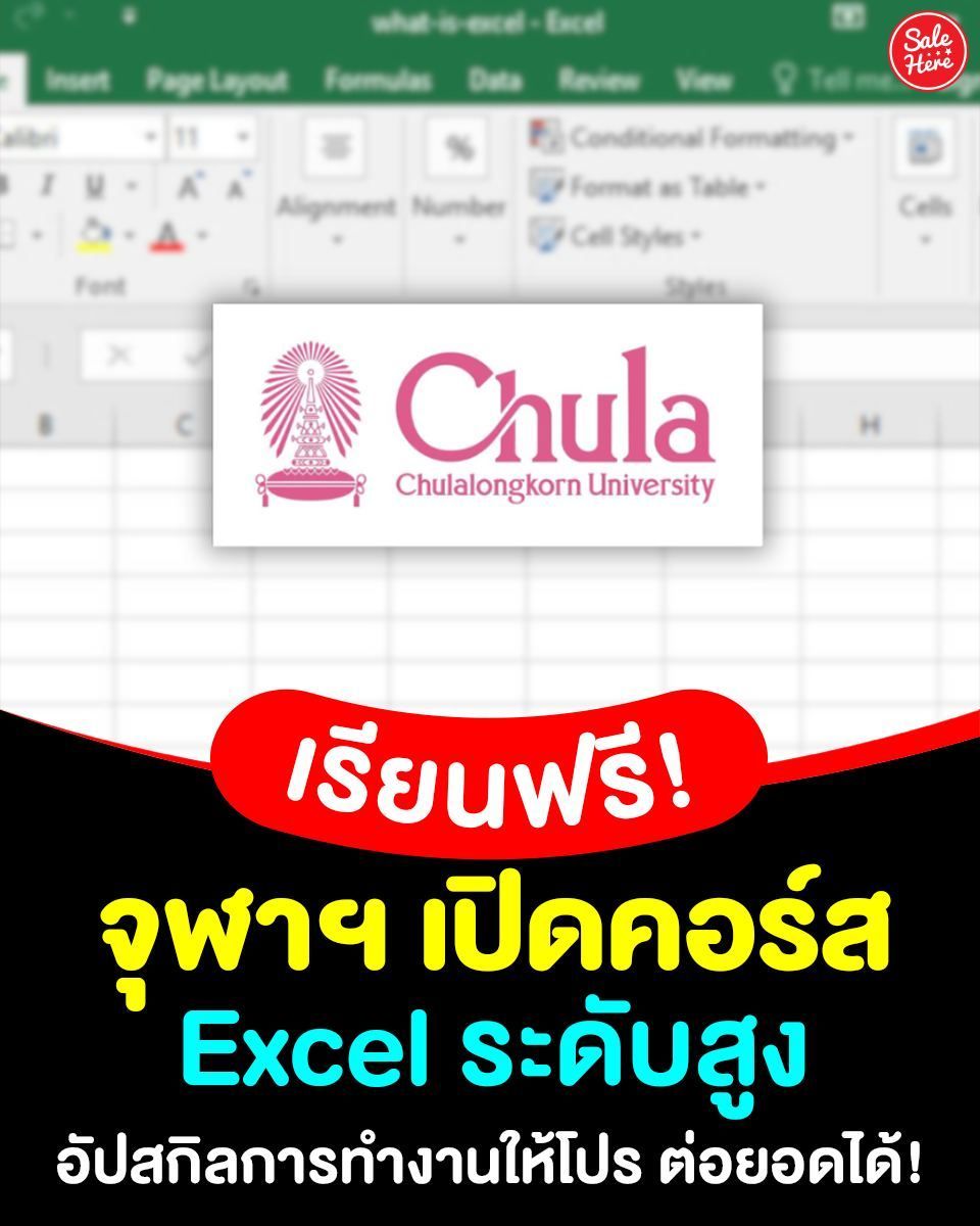 salehere1's tweet image. 📣 อัปสกิล #Excel ฟรี! สู่มือโปรการทำงาน 🤩👩🏻‍💻อยากทำ VLOOKUP, Pivot Table ให้คล่อง? จุฬาฯ จัดให้! คอร์ส “Excel ขั้น Advanced” ทำงานง่ายค้นหาข้อมูลไว จัดการฐานข้อมูลเป๊ะ เรียนจบใช้ได้จริง📈
💁🏻‍♀️ ลงเรียนได้ที่นี่ : buff.ly/h3oUdja
#SaleHere #เซลเฮียร์ #คอร์สเรียน #คอร์สExcel