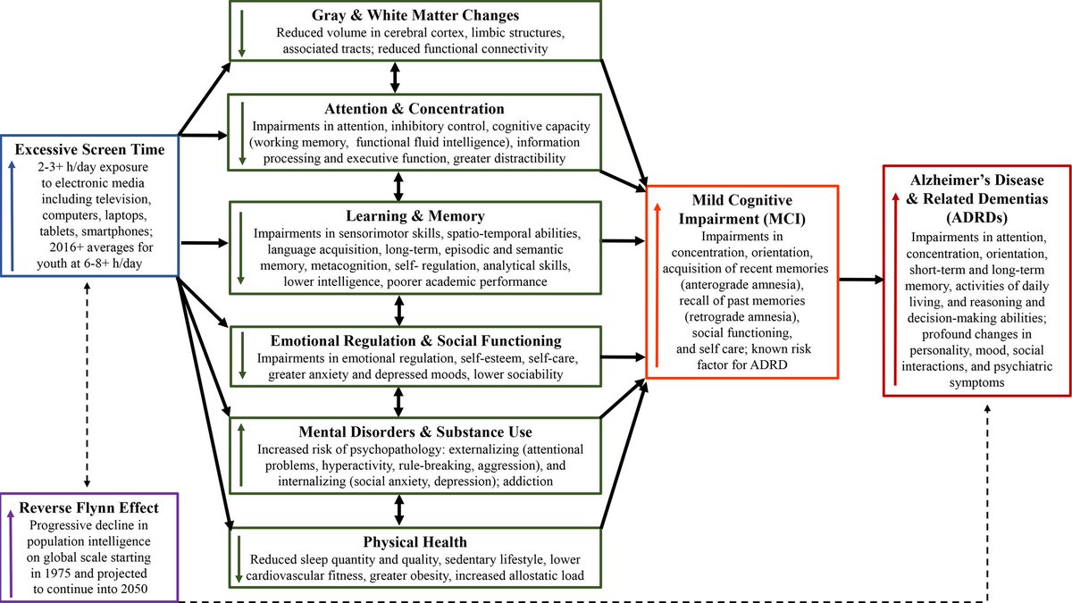 DavidMackeyDPT's tweet image. Digital Dementia
Excessive screen time may be linked to immediate &amp;amp; long-term cognitive deficits &amp;amp; decline due to reduced brain volume (especially during development). This may lead to a 2-4x greater risk of dementia into adulthood
imrpress.com/journal/JIN/21…
pmc.ncbi.nlm.nih.gov/articles/PMC84…