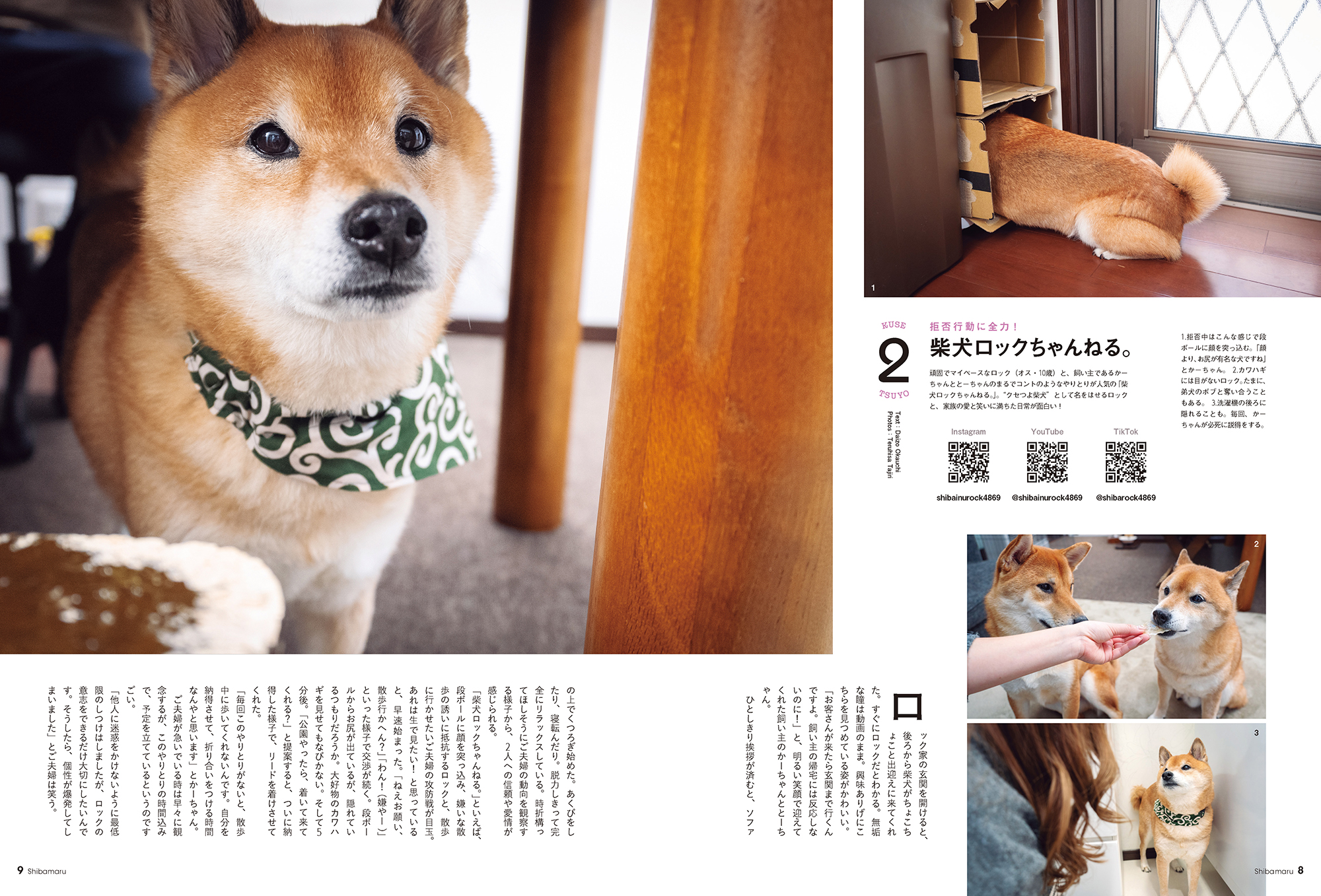 柴犬 様 93966-387-