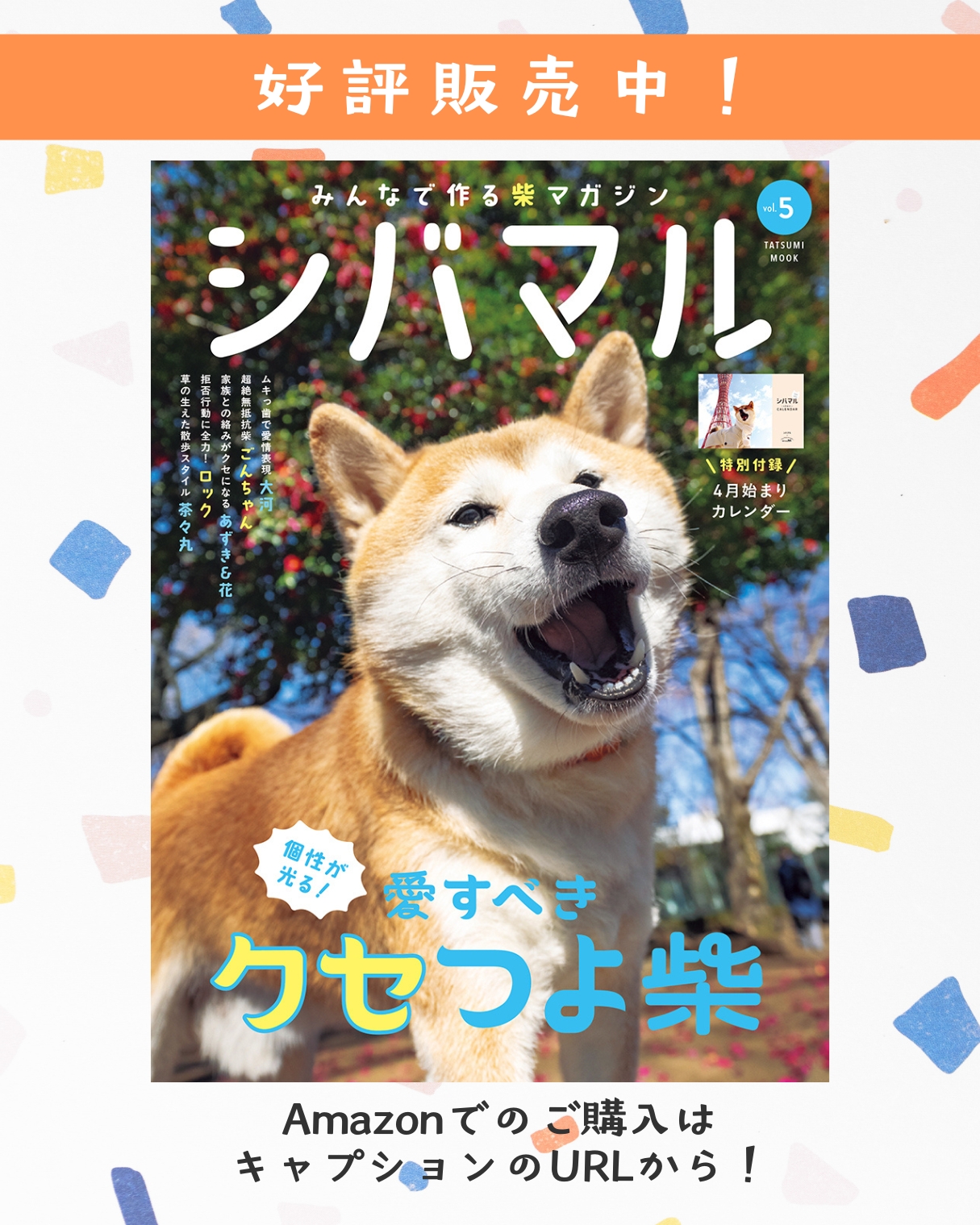 しば様 😎 今日はZRX400のお客様が昔の風防、2番シボリ、ハタボーS
