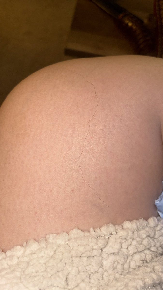 alysha dawe tweet media