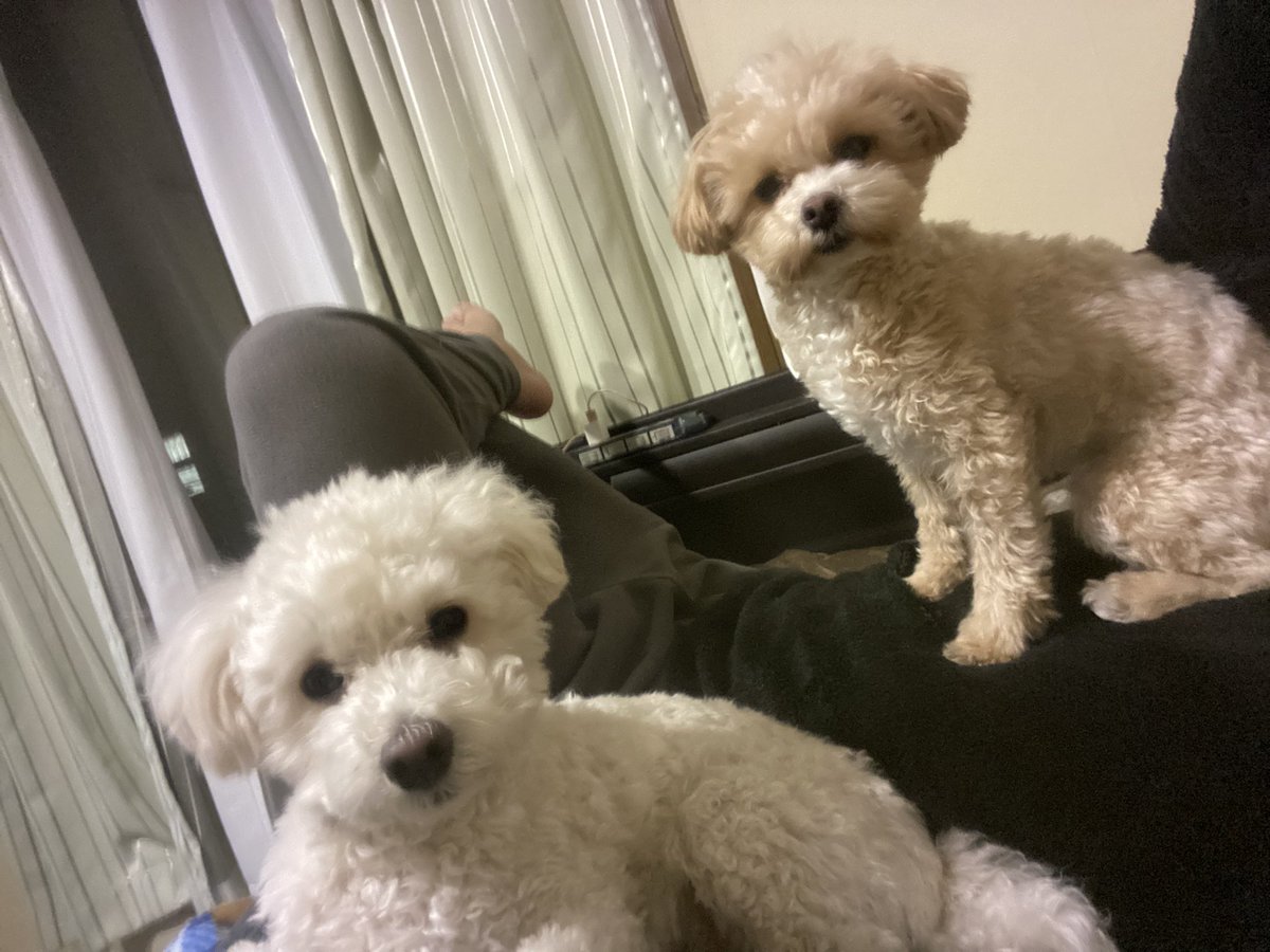 noguchi__'s tweet photo. @ogawa88888 急な連絡失礼します。
画像の右の子でしょうか。 https://t.co/tCNezkQDQ1